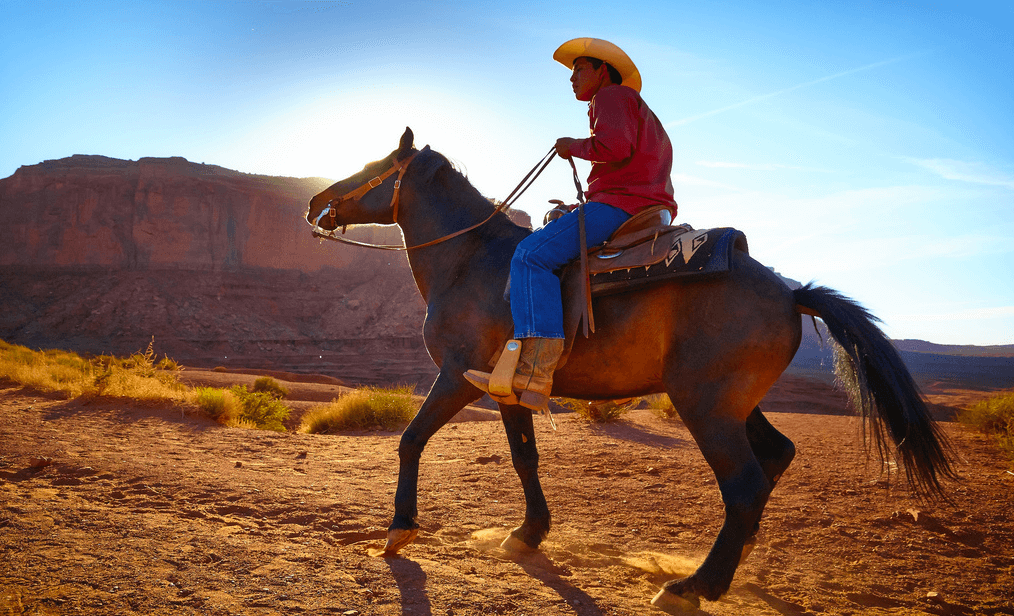 Dash Free With Equine Therapy