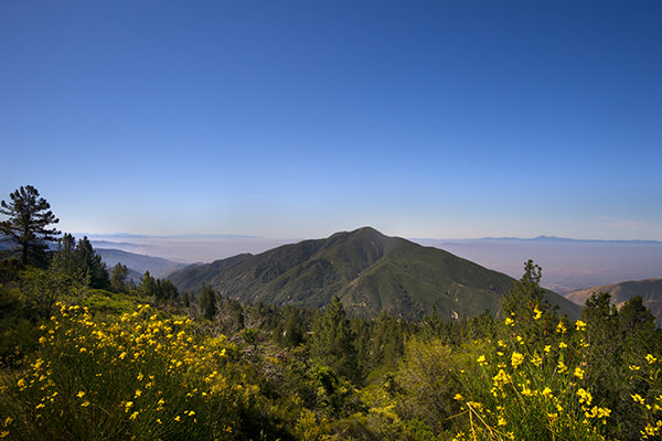Big Bear Mountain August 2015