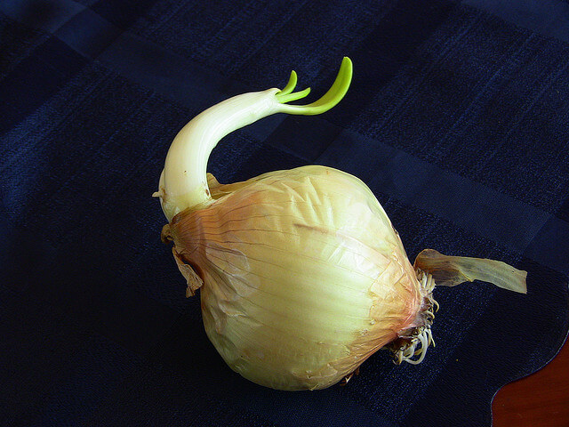 13 Foods For Detox That Pack a Powerful Punch