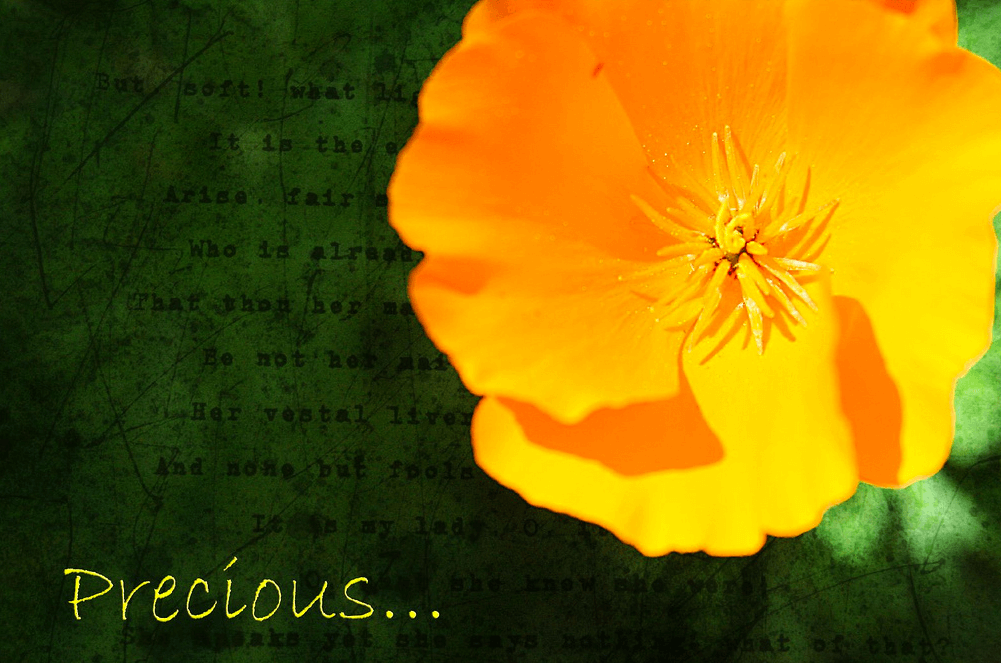 5 Things Too Precious to Sacrifice to Addiction | Morningside Recovery