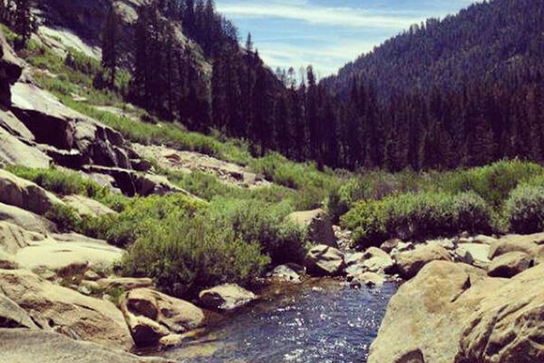 Sequoia National Park June 2015