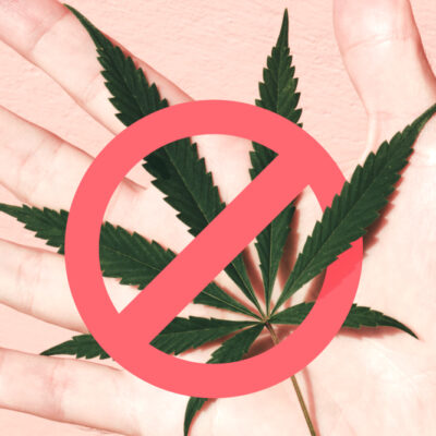 Need To Detox Weed From Your System? The BEST Method